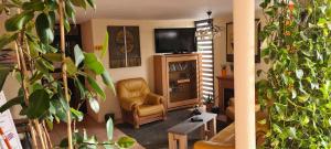 a living room filled with lots of plants and a television at Hôtel L'Etoile Aéroport - A61 in Carcassonne