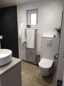 Baño blanco con aseo y lavamanos en Le COCON, appartement moderne et cosy, en Dinsheim