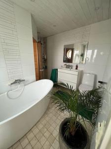 ein Badezimmer mit einer Badewanne und einer Topfpflanze in der Unterkunft Härlig Skärgårdsvilla med strålande sjöutsikt in Dalarö