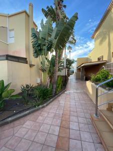 una pasarela con una palmera frente a un edificio en Canarian Green Oasis by luca properties gran canaria en Maspalomas