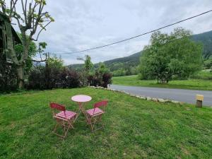 two chairs and a table in the grass next to a road at Petite chambre cosy avec salle de bain privative in Saint-Pierre-dels-Forcats