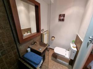 a bathroom with a sink and a toilet and a mirror at Petite chambre cosy avec salle de bain privative in Saint-Pierre-dels-Forcats