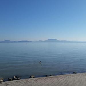 Príroda v okolí apartmánu