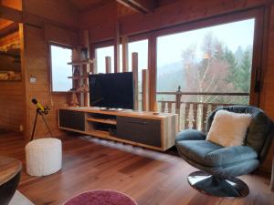 a living room with a television and a chair at Chalet Pura Vida - En pleine nature, tout confort in Le Valtin