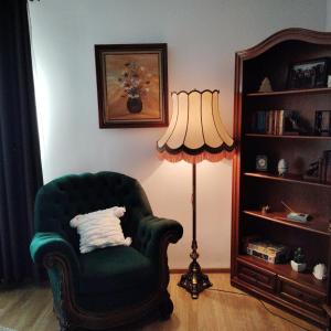 una sala de estar con una silla verde y una lámpara. en Vintage Central Apartament, en Târgu Jiu