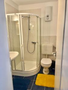 een badkamer met een douche, een toilet en een wastafel bij Cozy Airport Apartment in Kelsterbach