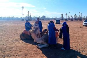 Επισκέπτες που μένουν στο Oasis appart sérénité