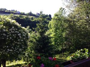 a view of a garden with flowers and trees at Apartments & Rooms Renata in Smoljanac