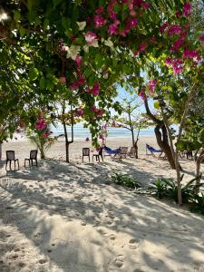 Vinh Hoa的住宿－Robinson Beach Bungalow，海滩上摆放着椅子,树木上布满了粉红色的花朵