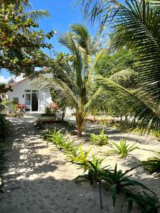 a palm tree on the beach near a house at Robinson Beach Bungalow in Vinh Hoa