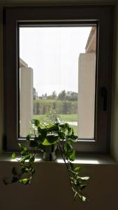 Fotografie z fotogalerie ubytování Pnoe Eco Residences v destinaci Amaliás