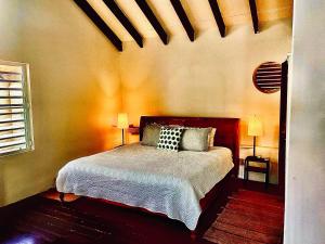 a bedroom with a bed with two pillows on it at Estate Lowry Hill in Christiansted