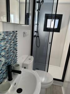 La salle de bains est pourvue de toilettes, d'un lavabo et d'une douche. dans l'établissement Premium Hausboot Trave Traum, à Lübeck