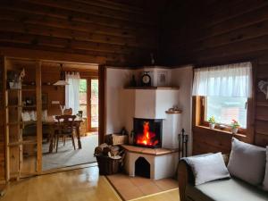 a living room with a fireplace and a table at Chalet Spessart in Dammbach