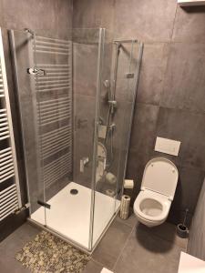 Koupelna v ubytování Apartmán v Javorné na Šumavě