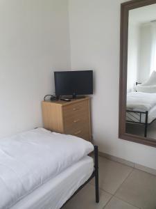 a bedroom with a tv on a dresser and a mirror at Ferienwohnung/Montagewohnung 2 in Bad Driburg