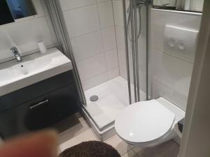a bathroom with a shower and a toilet and a sink at Ferienwohnung/Montagewohnung 2 in Bad Driburg