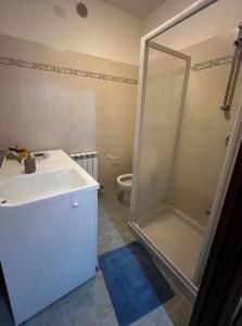 a bathroom with a shower and a sink and a toilet at "IL VIGNETO" Apartment in Negrar