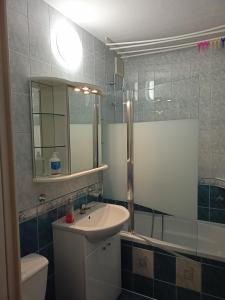 La salle de bains est pourvue d'un lavabo, de toilettes et d'un miroir. dans l'établissement ,,Zielona przystań nad morzem" Gdańsk - Przymorze, à Gdańsk