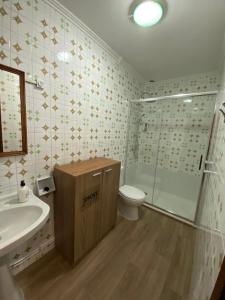 a bathroom with a toilet and a shower and a sink at CASA DA REGUEIRA in Redondela +54 photos