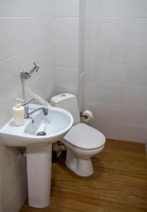 a bathroom with a white toilet and a sink at Guest house Kiev forest in Kyiv