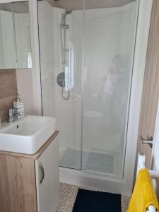 a bathroom with a shower and a sink at Georgia Lodge in Knaresborough +20 photos