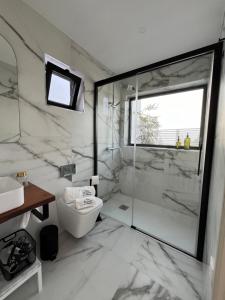 uma casa de banho com um WC e uma cabina de duche em vidro. em Casa El granero de Antonio em San Miguel de Abona