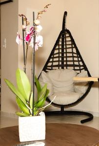 einen Stuhl und eine Topfpflanze auf einem Tisch in der Unterkunft Poppys home in Piräus