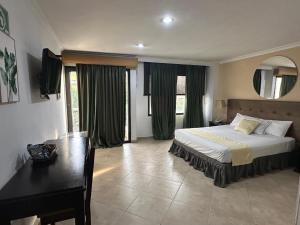 1 dormitorio con cama, escritorio y espejo en Hotel Prince Plaza, en Medellín