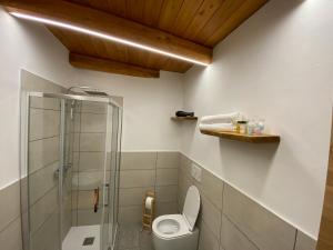 a bathroom with a toilet and a glass shower at BAITA GHITIN in Ostana