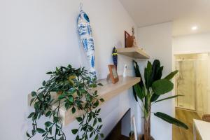 a room with a shelf on the wall with plants at Guest H4U - Porto Bonfim Heroismo in Porto +105 photos