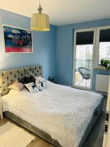 a bedroom with blue walls and a bed with pillows at Komfortowy apartament Krokusowa 6 in Krakow