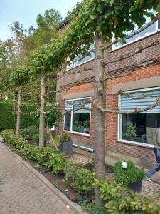 a brick building with trees in front of it at Klooster Achthuizen in Achthuizen