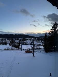Lipnica WielkaOrawska Knieja 2.0的停在雪地里,有树的汽车