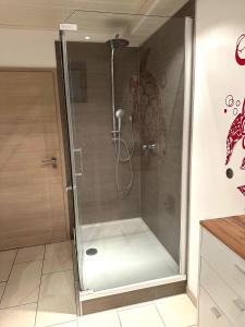 a shower with a glass door in a bathroom at Ferienwohnung in Oberahr in Oberahr