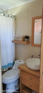 een badkamer met een toilet, een wastafel en een spiegel bij Cabaña La Poza Hualaihue in Hualaihué