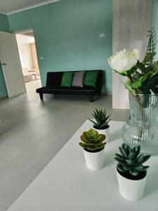 Гостиная зона в Seaview Resort Boca Sami
