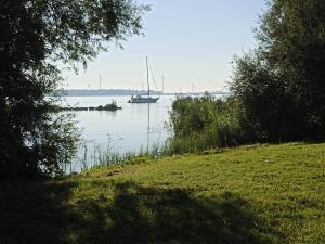 a boat in the water near a grassy field at Klooster Achthuizen in Achthuizen