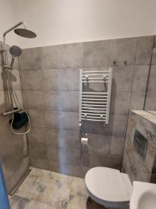a bathroom with a white toilet and a shower at Apartament Kamienna Gora in Kamienna Góra