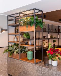 a shelf with potted plants in a room at The Londoner Hotel St. Julian's in St. Julianʼs