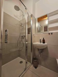 ein Bad mit einer Dusche und einem Waschbecken in der Unterkunft Studio Apartment Jož' 