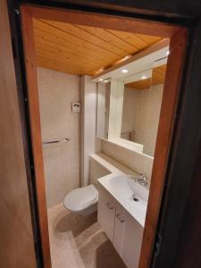 a bathroom with a sink and a toilet and a mirror at Chalet Lilo 4 Zimmer big View in Beatenberg