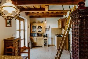 a kitchen with a ladder in the middle of a room at Hársfa Vendégház in Hegymagas