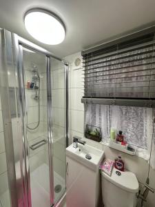 a bathroom with a shower and a toilet and a sink at De lick strawberry studio in London