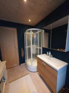 ein Bad mit einer Dusche und einem Waschbecken in der Unterkunft Drømmehytta på Senja in Tranøya