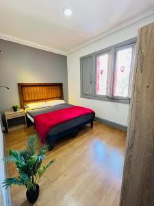 um quarto com uma cama grande e um cobertor vermelho em Enjoy Hostel em Santiago