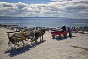 Fotografie z fotogalerie ubytování Beachside Rooms v destinaci Inisheer