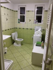 a green bathroom with a toilet and a sink at Apartmány Česká Škola in Lipová