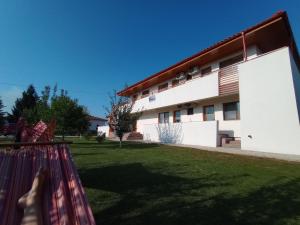 a large white building with a grass yard at Pestele Ca Odinioară in Murighiol