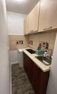 una piccola cucina con un lavello e un bancone di Cozy studio tiglina a Galaţi